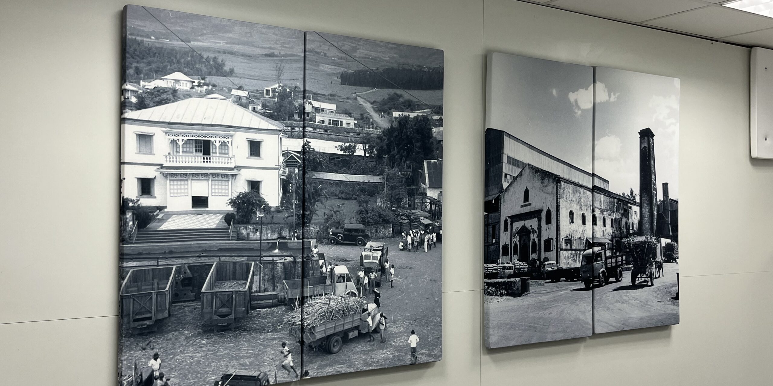 Système d'isolation acoustique et d'absorption acoustique dans un local professionnel