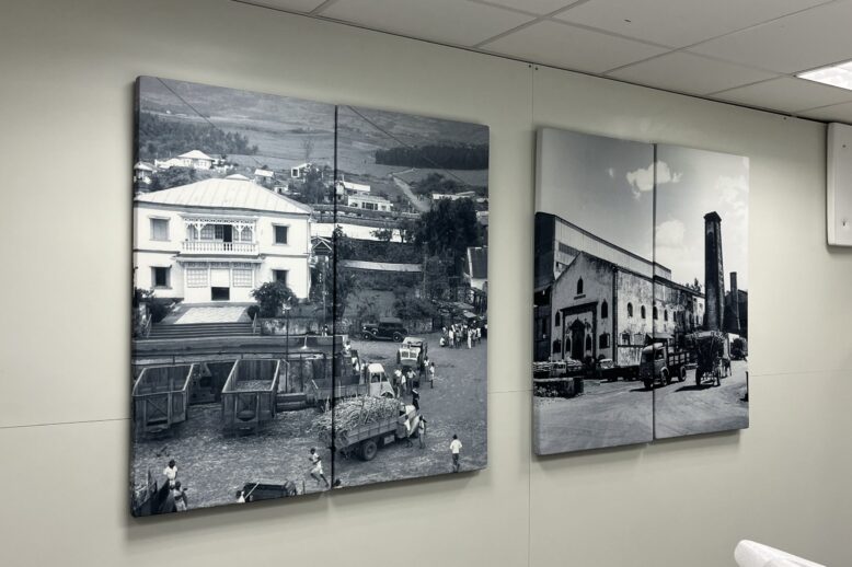 Système d'isolation acoustique et d'absorption acoustique dans un local professionnel